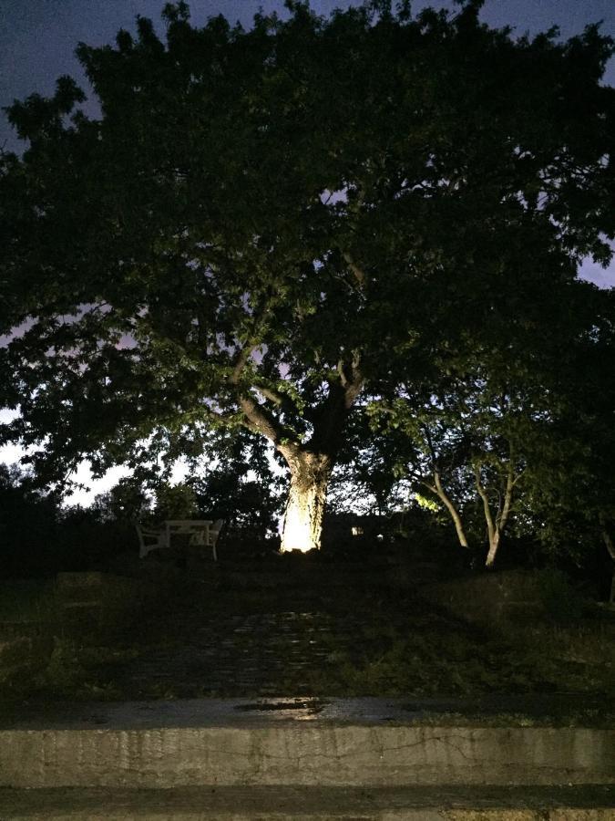 Favoloso Appartamento In Villa Monterosi Exterior foto