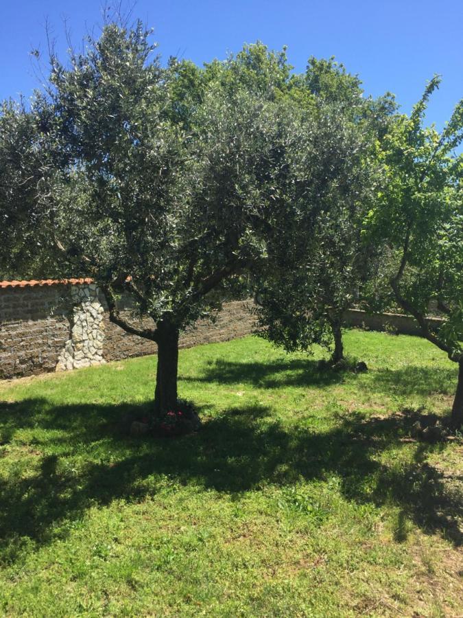 Favoloso Appartamento In Villa Monterosi Exterior foto
